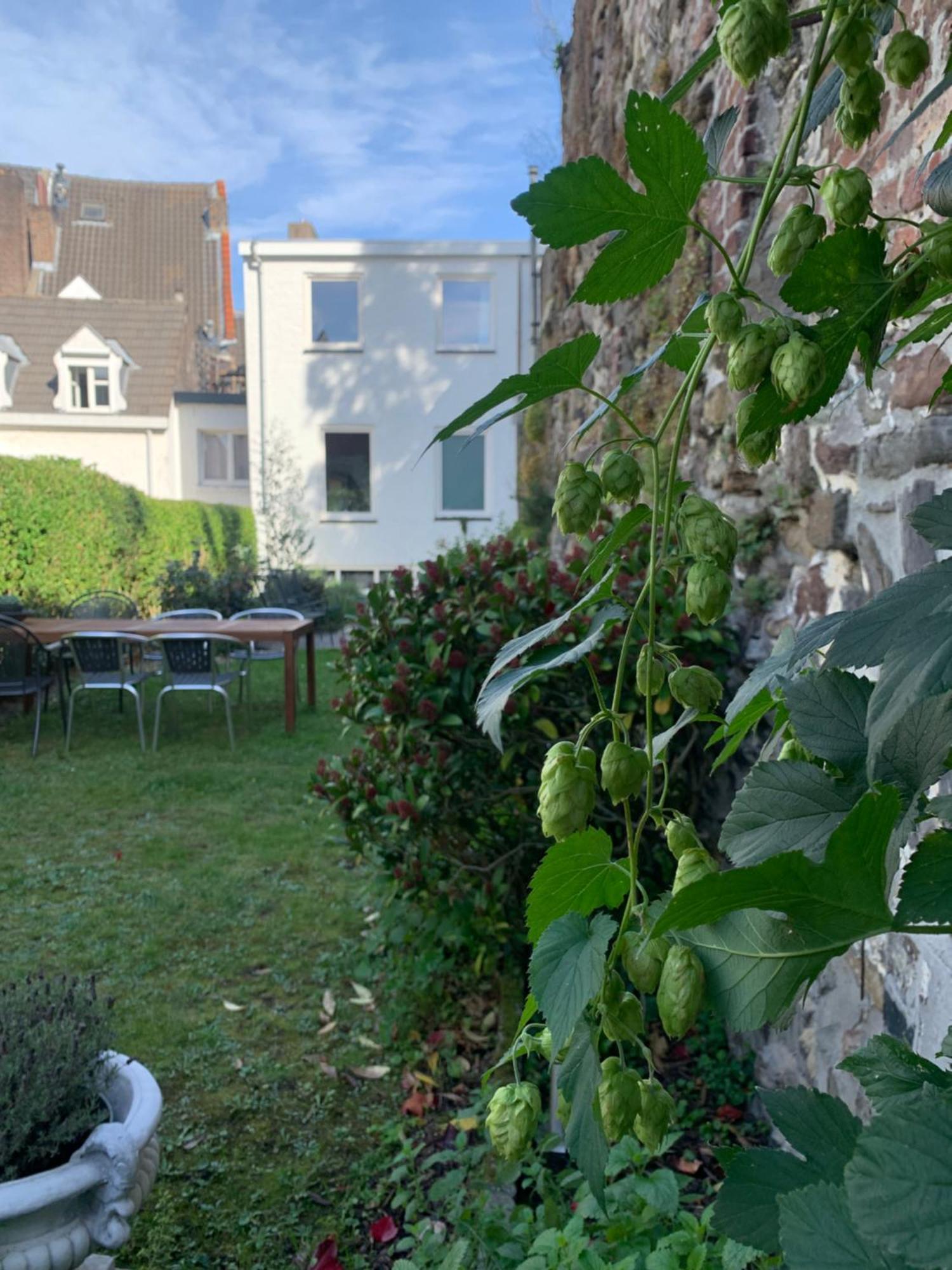 De Stadswal Maastricht Dış mekan fotoğraf